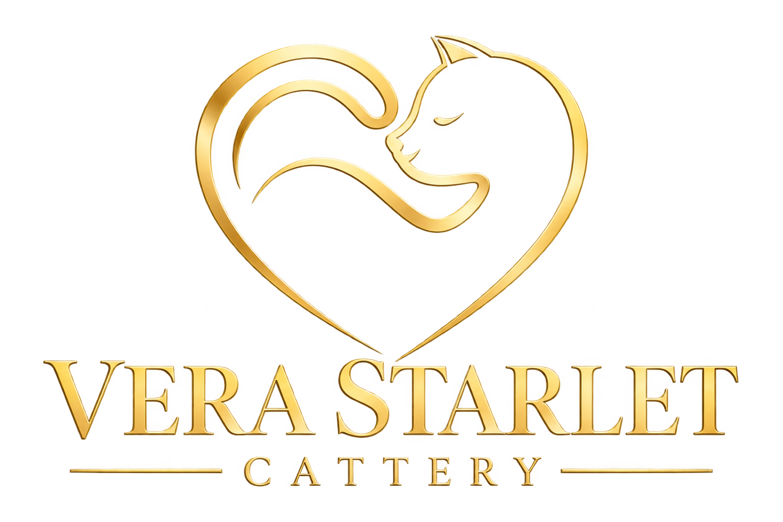 Logo Vera Starlet Cattery